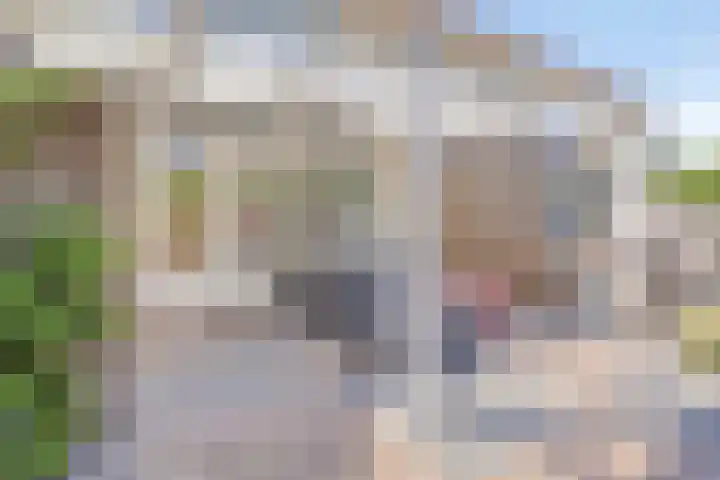 Gooiland 8 Roelofarendsveen thumbnail 21