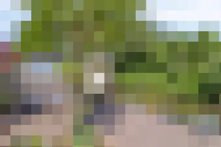 Gooiland 8 Roelofarendsveen thumbnail 22