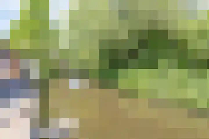 Gooiland 8 Roelofarendsveen thumbnail 24
