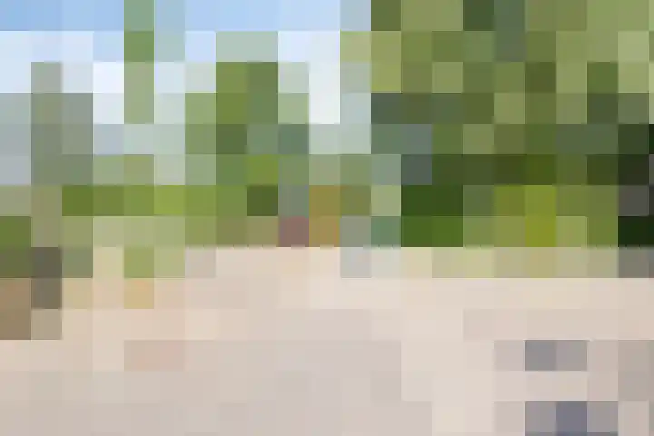 Gooiland 8 Roelofarendsveen thumbnail 25