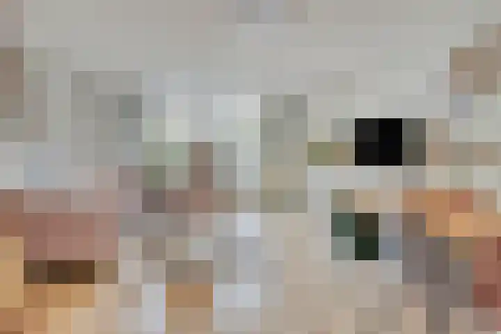 Gooiland 8 Roelofarendsveen thumbnail 4