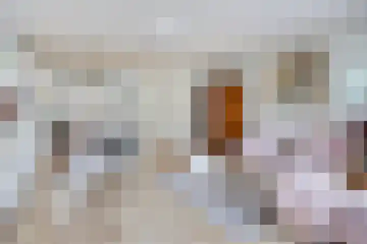 Gooiland 8 Roelofarendsveen thumbnail 5