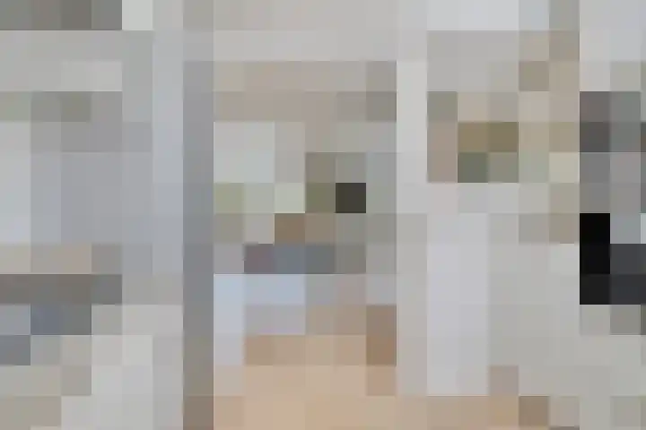 Gooiland 8 Roelofarendsveen thumbnail 8