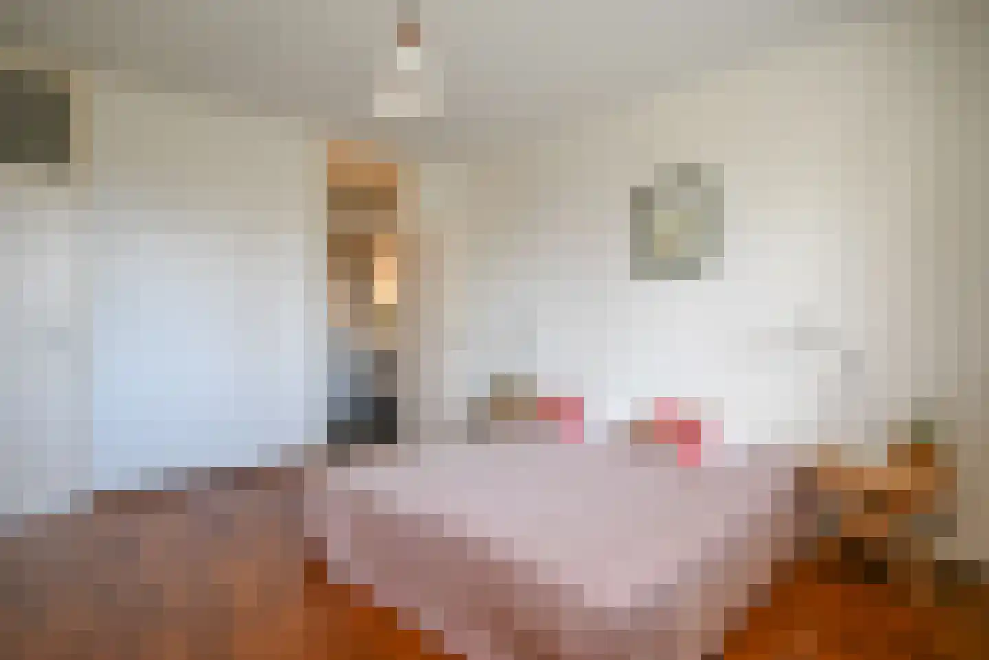 Gooilandseweg 29 Bussum thumbnail 13