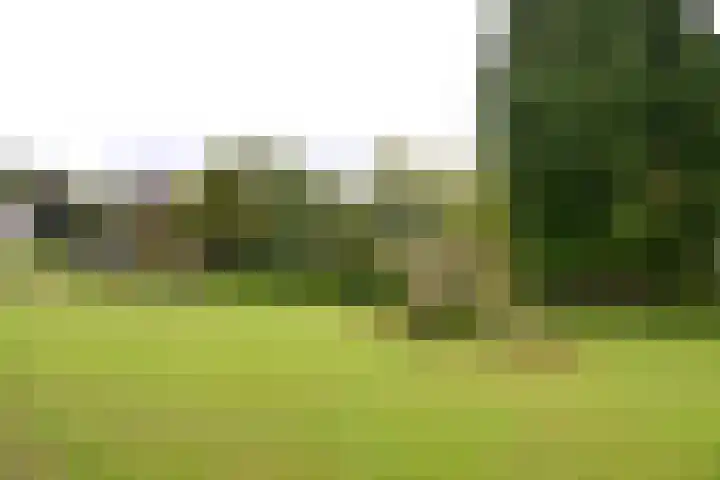 Gooilandseweg 51 Bussum thumbnail 17
