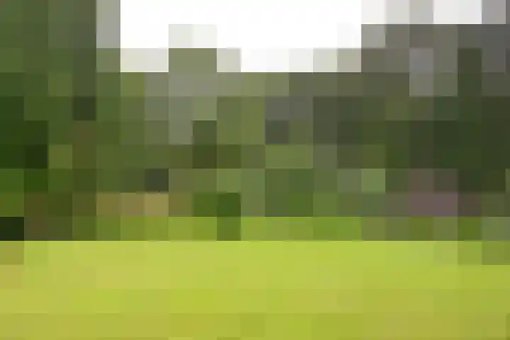Gooilandseweg 51 Bussum thumbnail 18