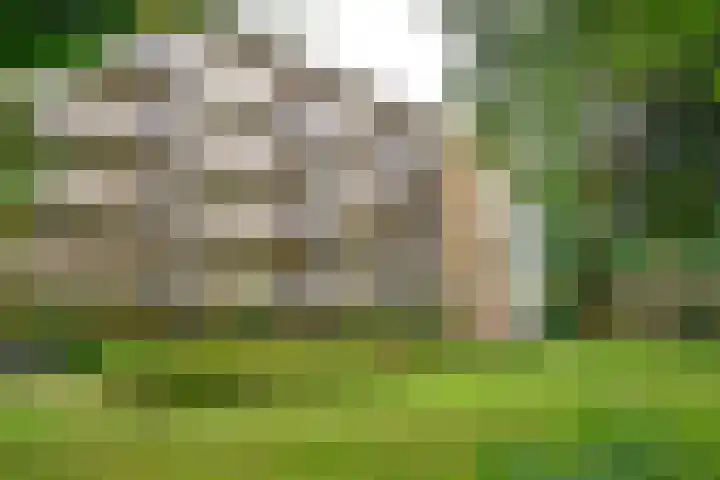 Gooilandseweg 51 Bussum thumbnail 20