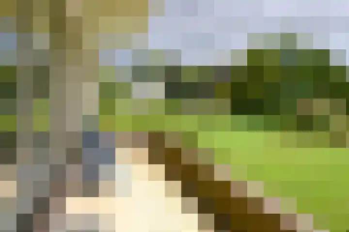 Gooilandseweg 51 Bussum thumbnail 4