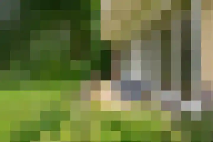 Gooilandseweg 51 Bussum thumbnail 5