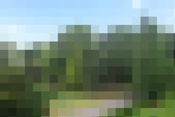Gooilandseweg 81 Bussum thumbnail 10