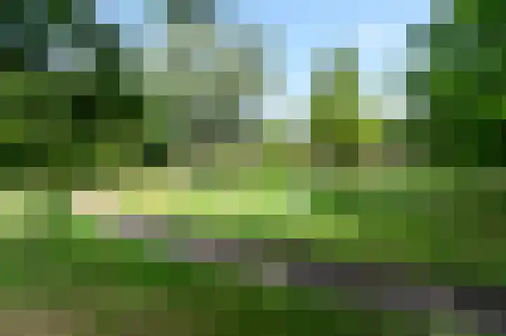 Gooilandseweg 81 Bussum thumbnail 28