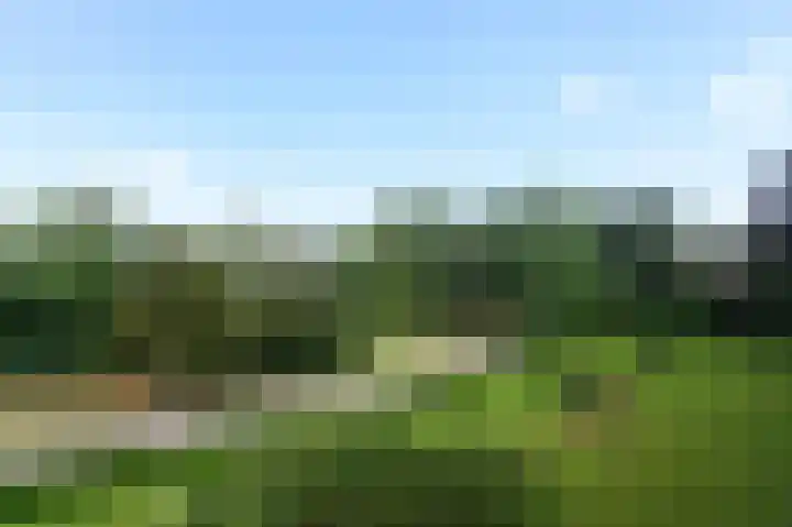 Gooilandseweg 81 Bussum thumbnail 9