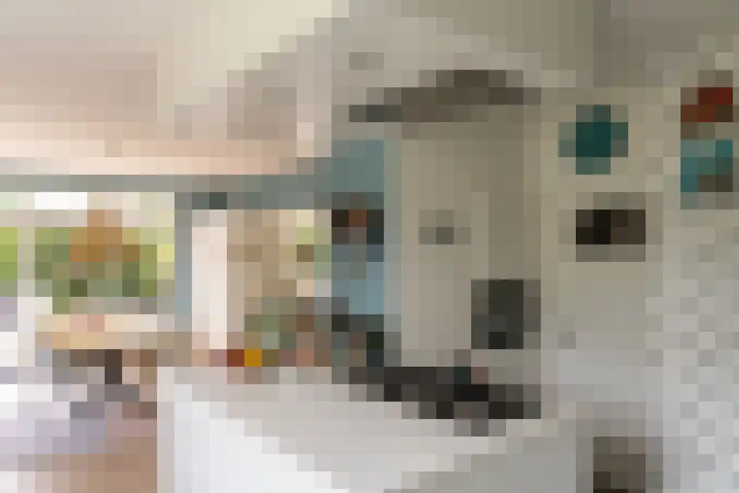 Gooilandweg 225 Huizen thumbnail 16