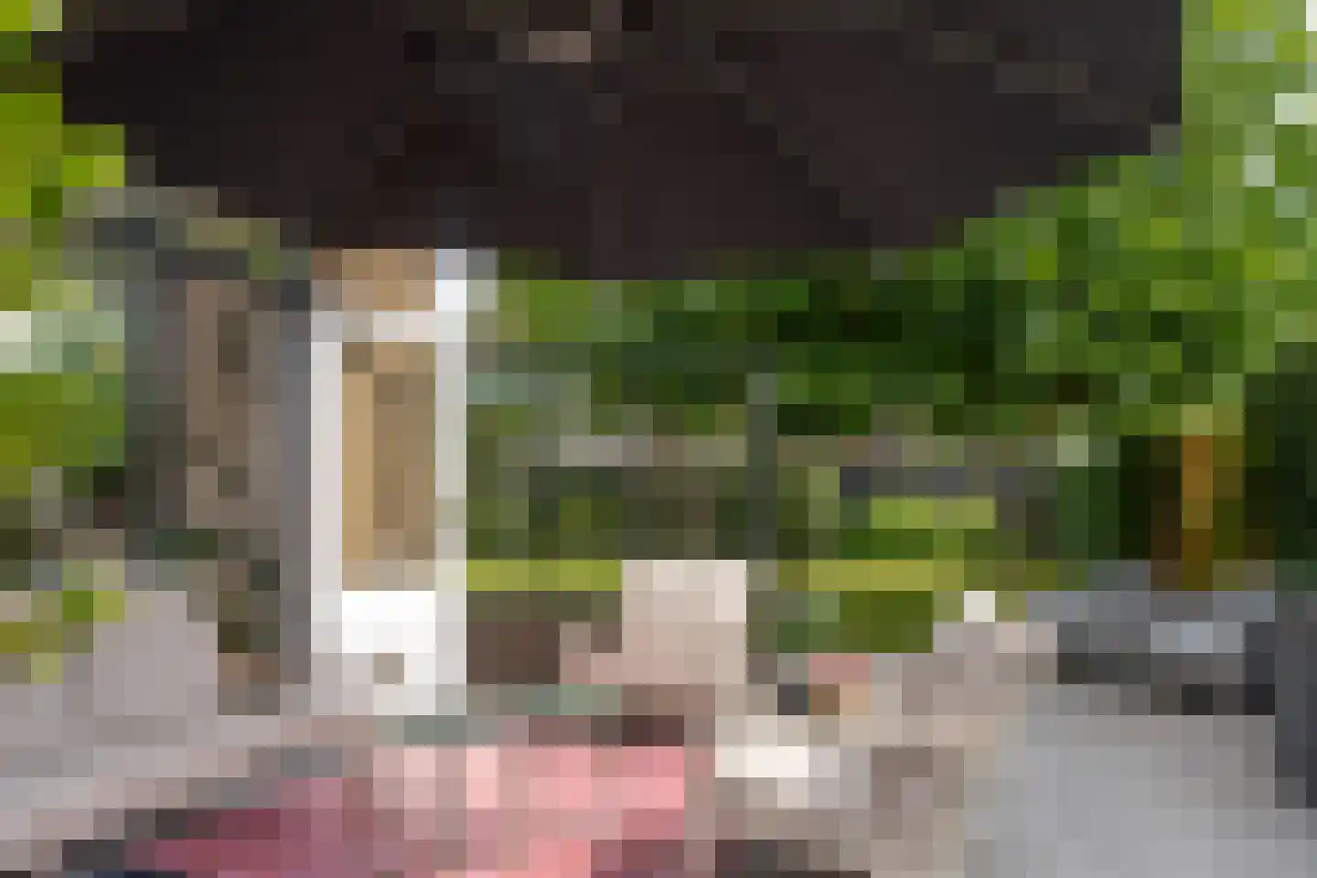 Gooilandweg 225 Huizen thumbnail 27