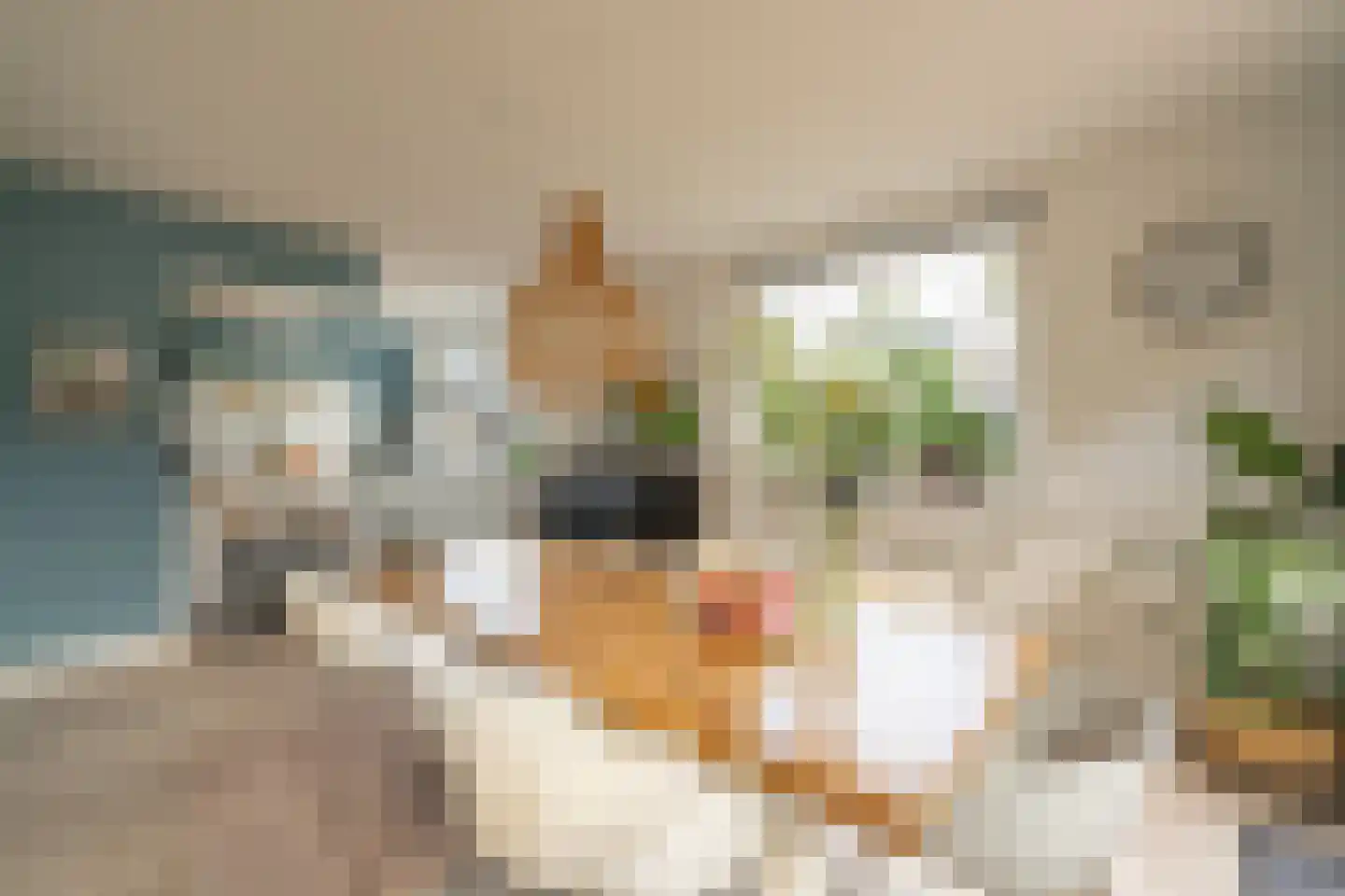 Gooilandweg 225 Huizen thumbnail 30