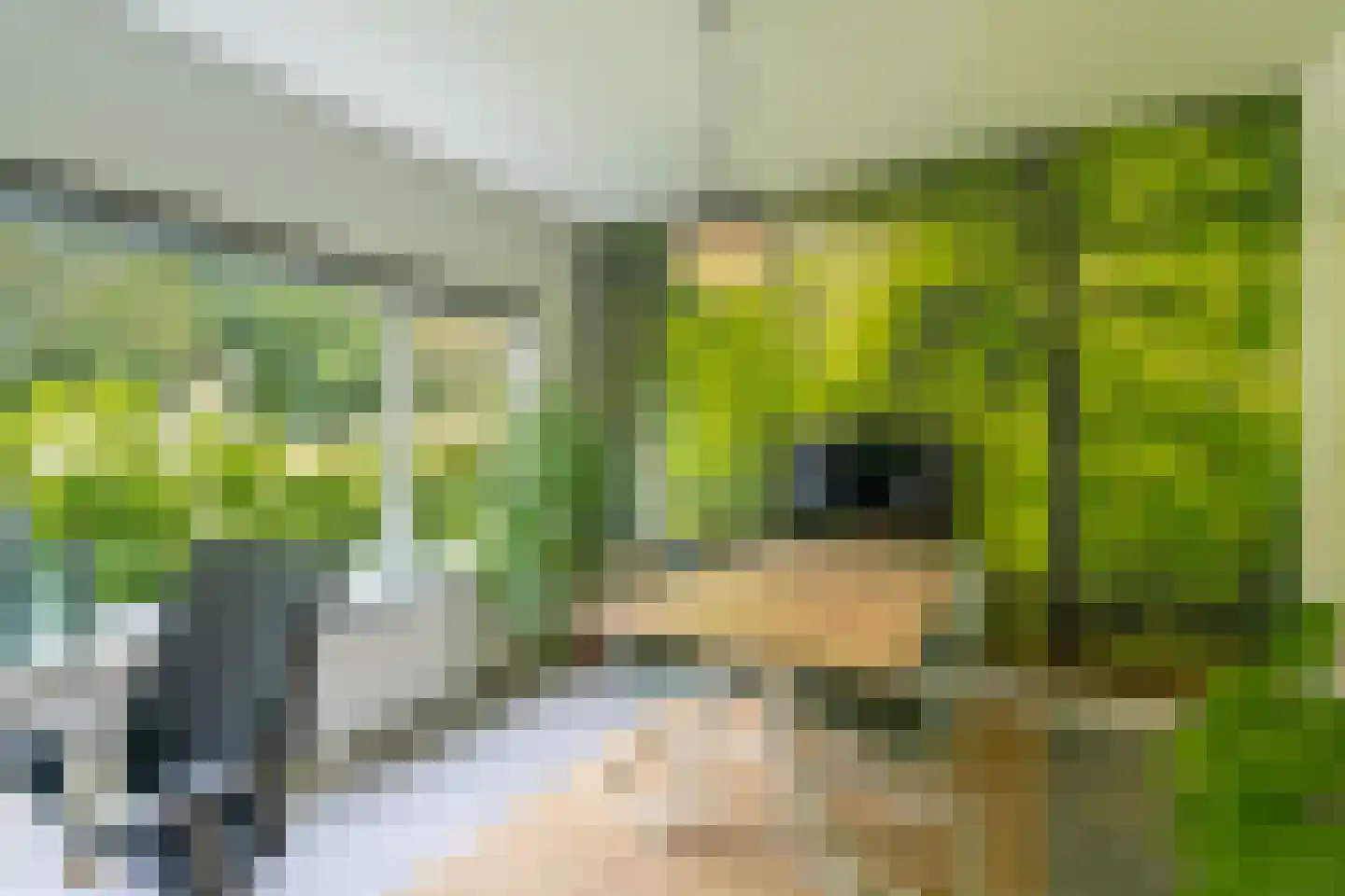 Gooilandweg 225 Huizen thumbnail 37