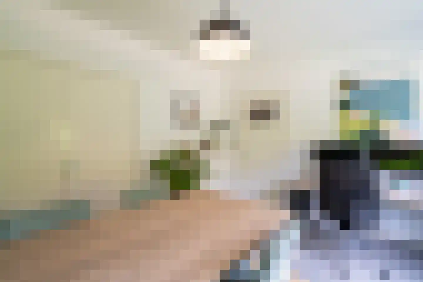 Gooilandweg 225 Huizen thumbnail 38