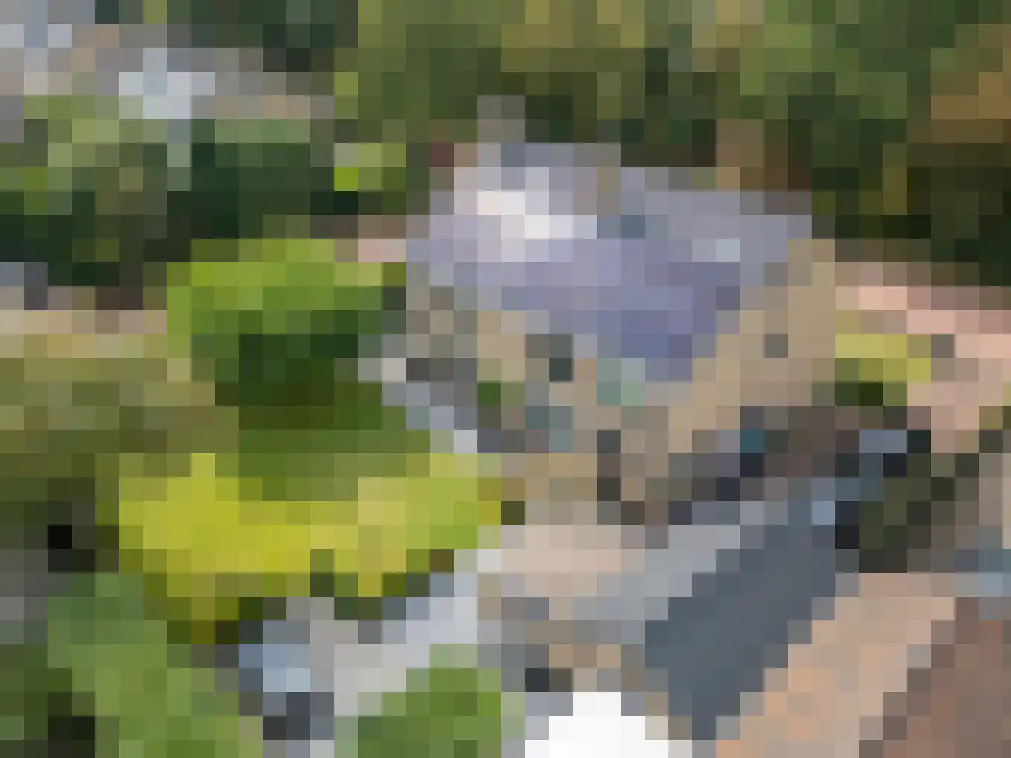 Gooilandweg 225 Huizen thumbnail 4