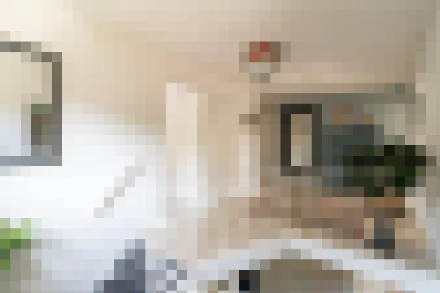Gooilandweg 225 Huizen thumbnail 40