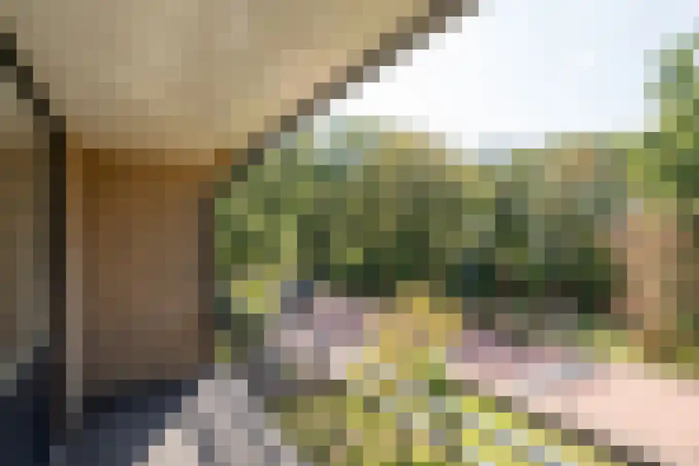 Gooilandweg 225 Huizen thumbnail 45