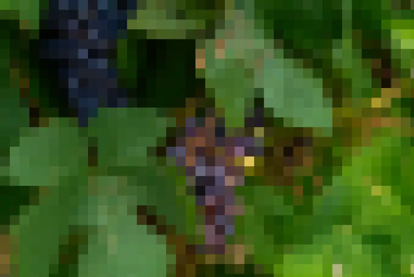 Gooilandweg 225 Huizen thumbnail 71