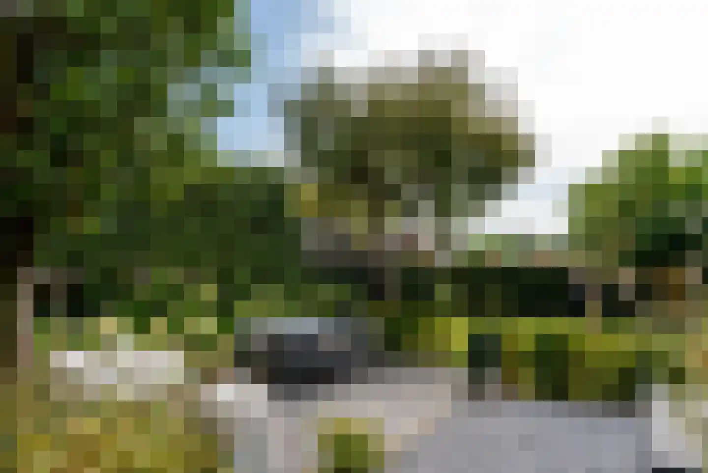 Gooilandweg 225 Huizen thumbnail 74