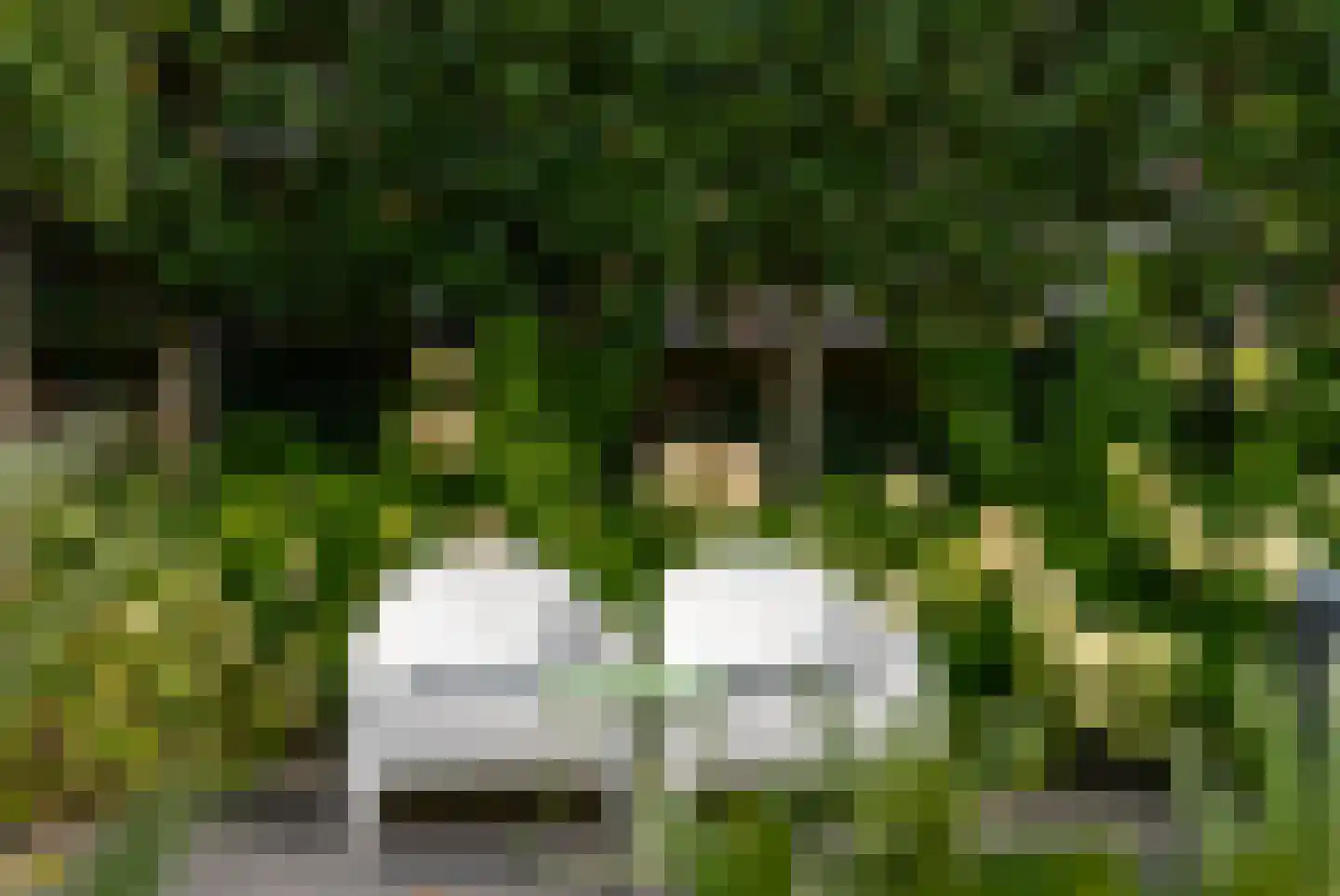 Gooilandweg 225 Huizen thumbnail 75