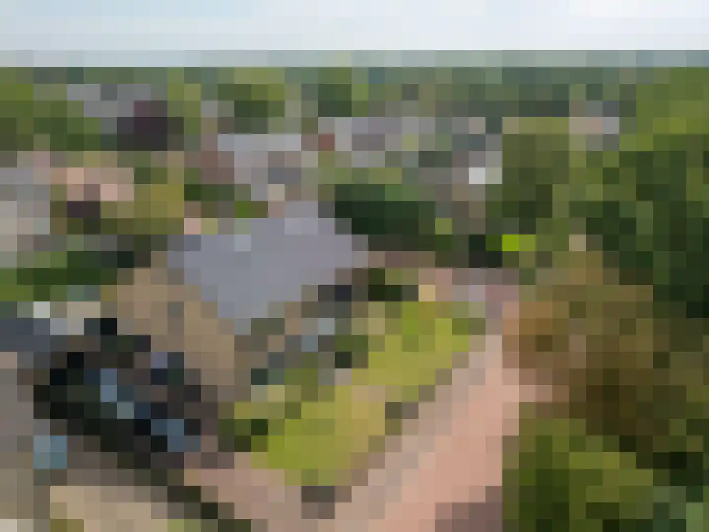 Gooilandweg 225 Huizen thumbnail 79