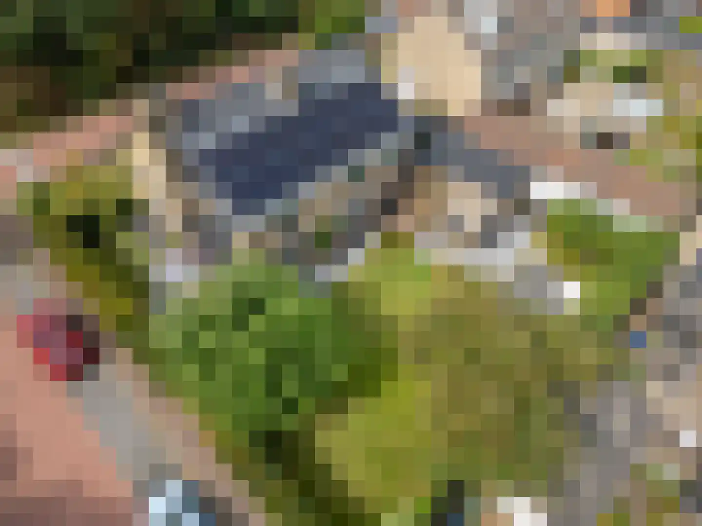 Gooilandweg 225 Huizen thumbnail 81