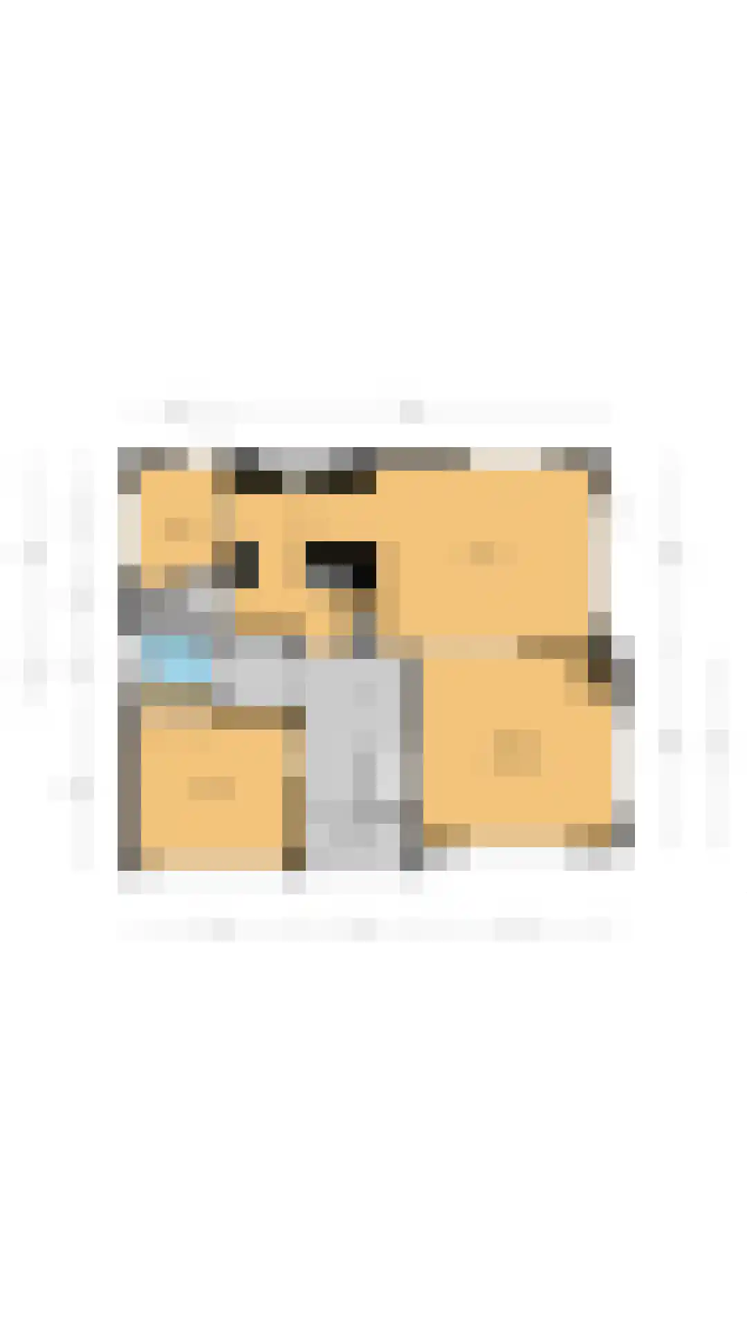 Gooilandweg 225 Huizen thumbnail 86
