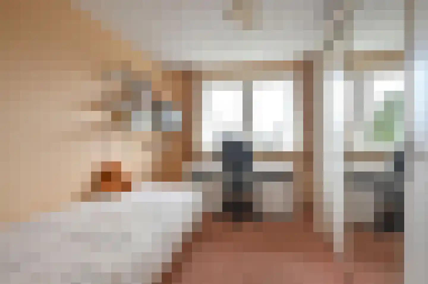 Gooilandweg 241 Huizen thumbnail 30