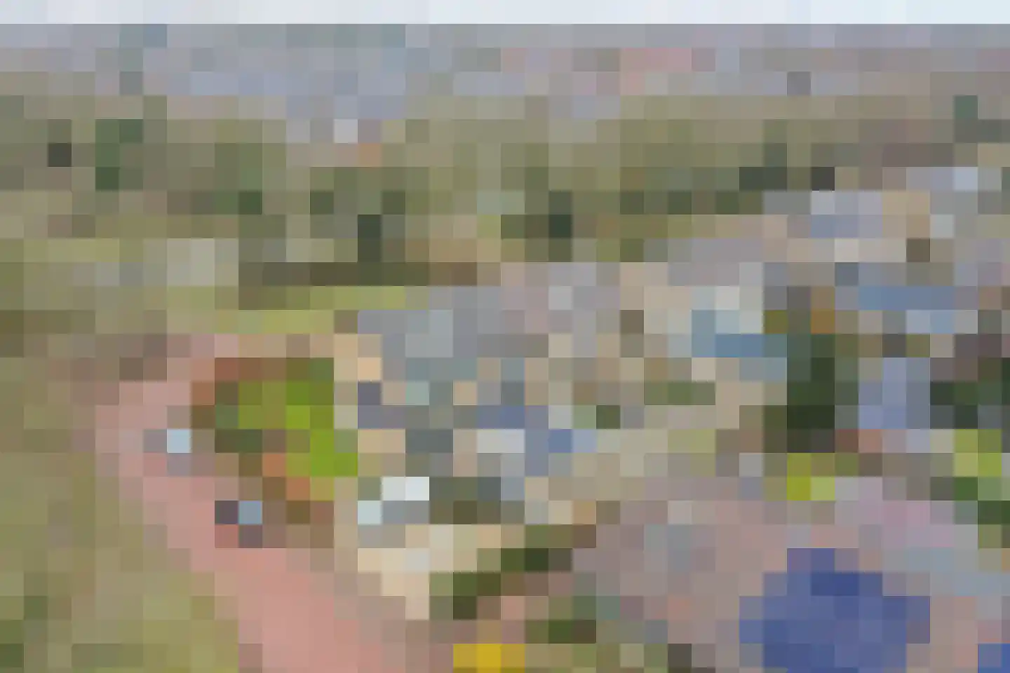 Gooilandweg 241 Huizen thumbnail 36