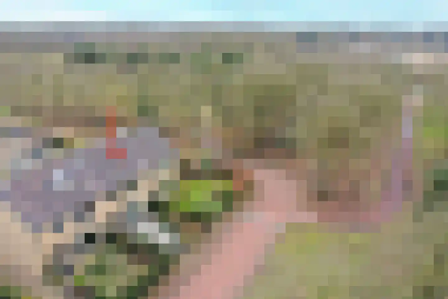 Gooilandweg 241 Huizen thumbnail 5