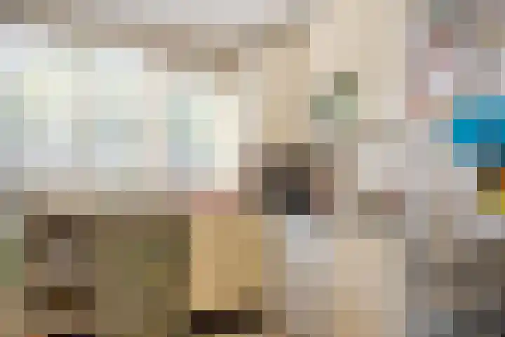 Gooimeer 1 Purmerend thumbnail 12