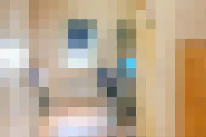 Gooimeer 1 Purmerend thumbnail 19