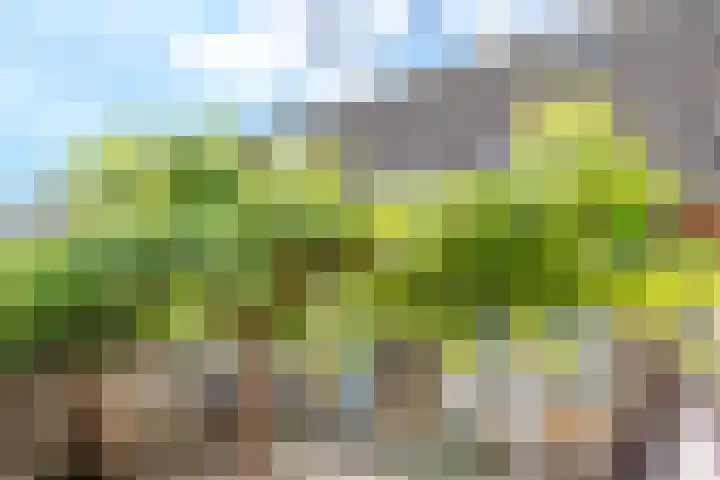Gooimeer 1 Purmerend thumbnail 26