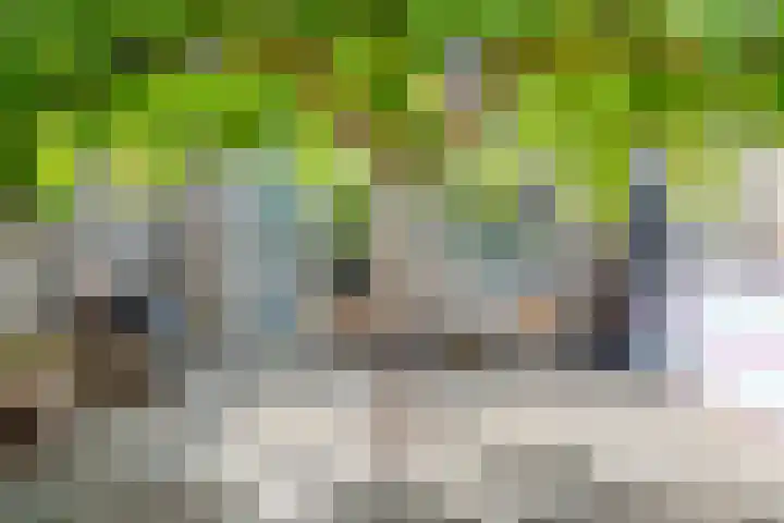 Gooimeer 1 Purmerend thumbnail 27