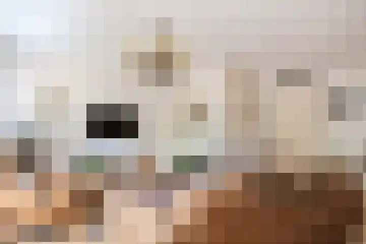 Gooimeer 1 Purmerend thumbnail 6