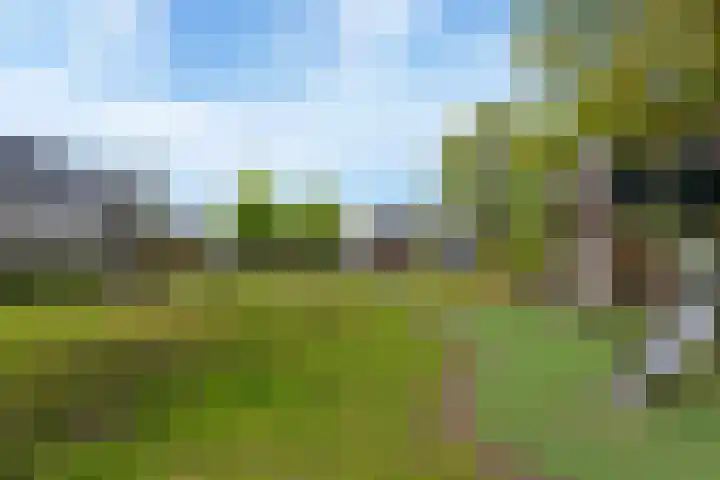 Gooimeer 11 Amersfoort thumbnail 40