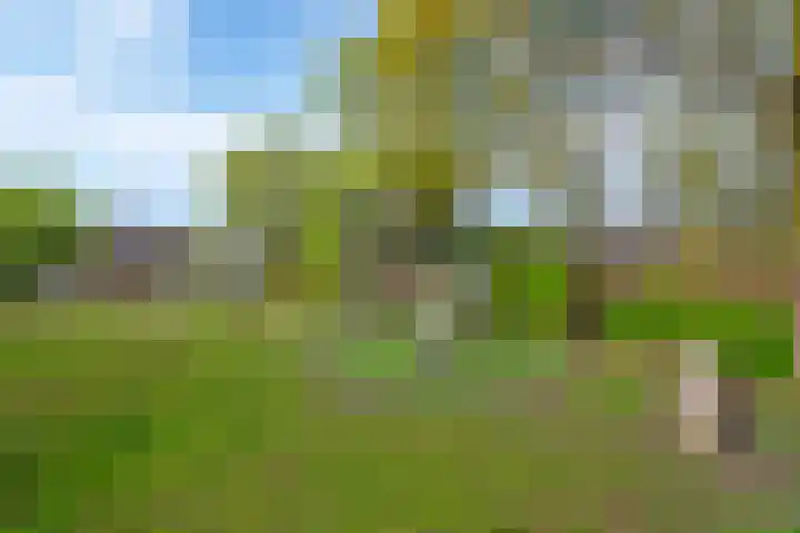 Gooimeer 11 Amersfoort thumbnail 41