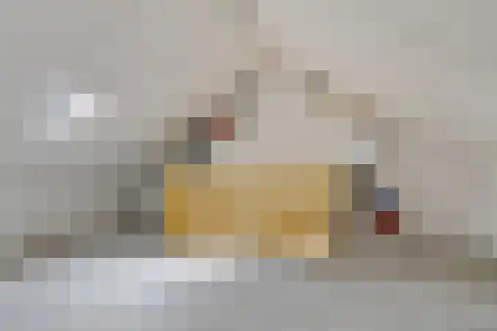Gooimeer 3 Barendrecht thumbnail 24