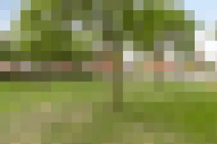 Gooimeer 3 Barendrecht thumbnail 29