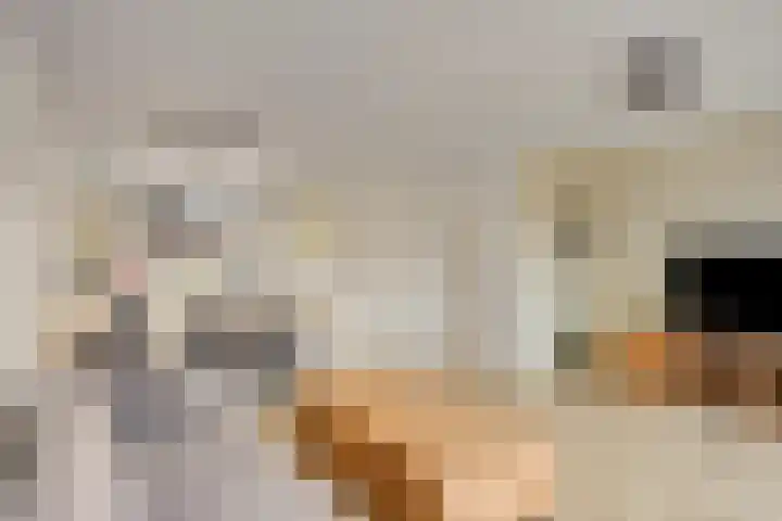 Gooimeer 4 Purmerend thumbnail 14