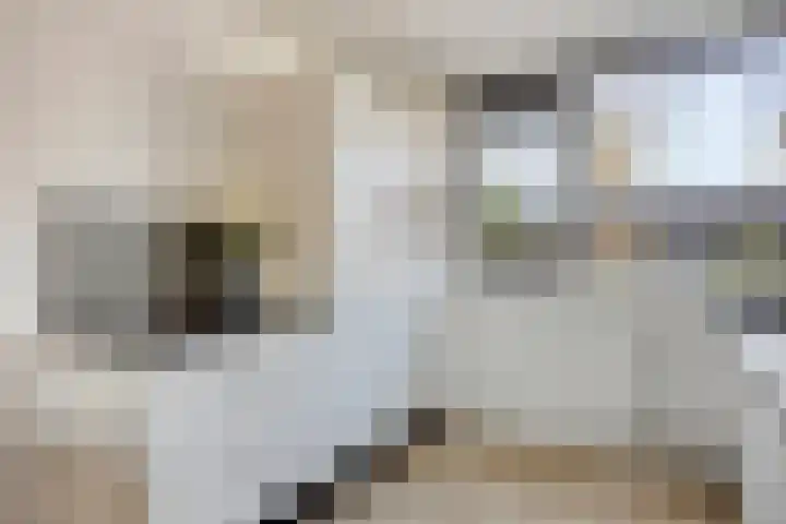 Gooimeer 4 Purmerend thumbnail 15