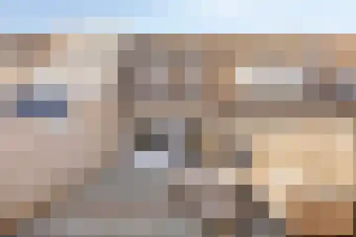 Gooimeer 4 Purmerend thumbnail 31