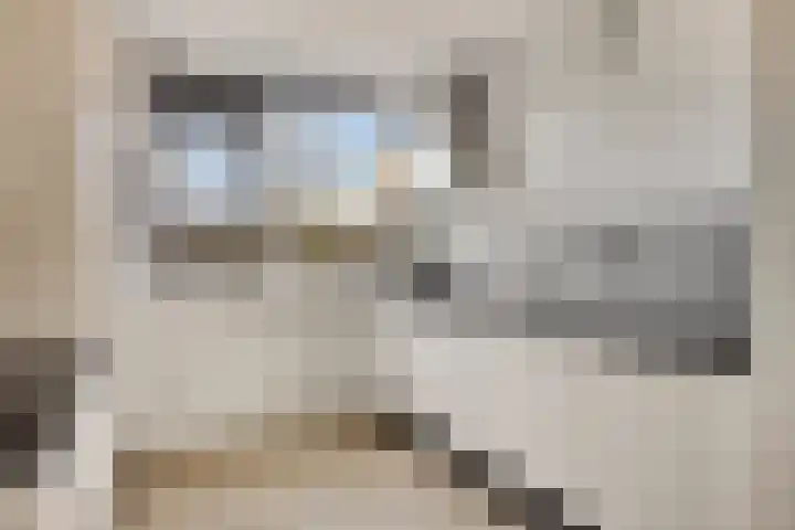 Gooimeer 4 Purmerend thumbnail 4