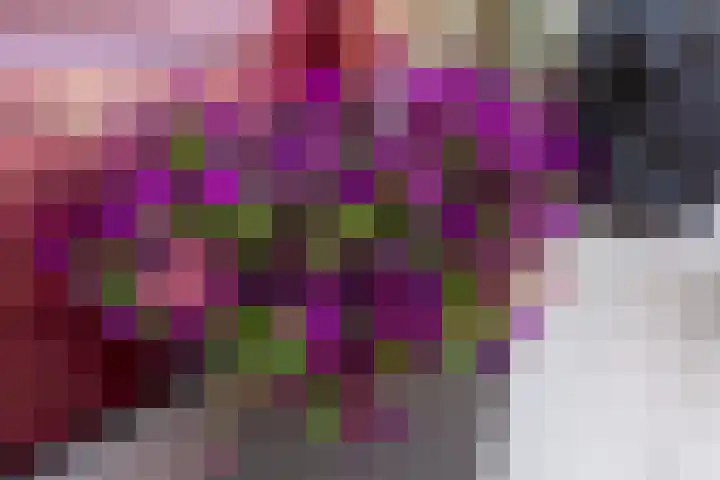 Gooimeer 4 Rotterdam thumbnail 32