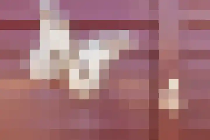 Gooimeer 4 Rotterdam thumbnail 33