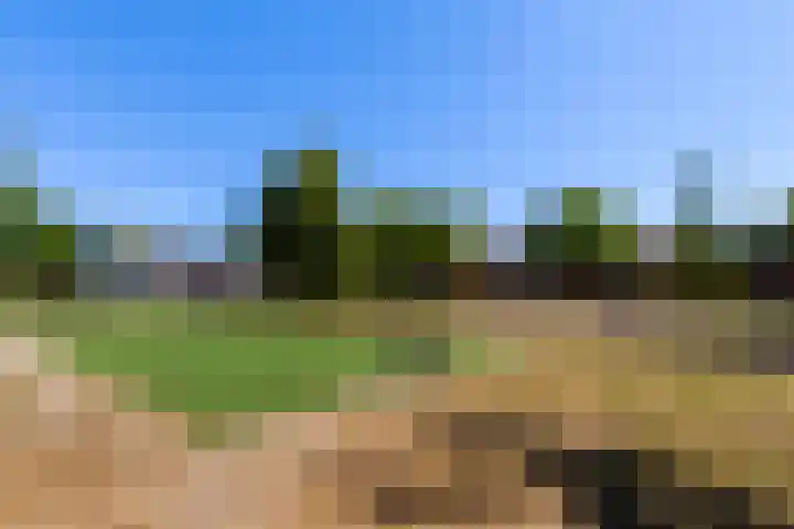 Gooimeer 4 Rotterdam thumbnail 35