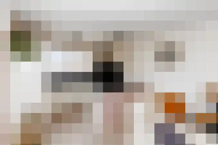 Gooimeer 4 Rotterdam thumbnail 9
